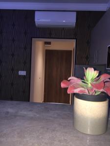 Fotografia z galérie ubytovania Balaton Kinizsi Apartman v Siófoku