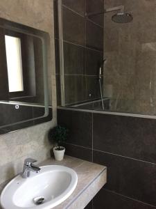 Kúpeľňa v ubytovaní Balaton Kinizsi Apartman