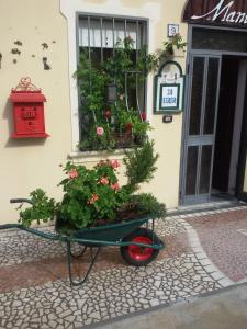 Taglio di Po的住宿－Bed And Breakfast Di Manu，建筑物前满是鲜花的推车