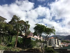 a view of a city with trees and buildings at Apart. Madeira 4 you in Funchal