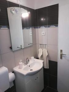 uma casa de banho com um lavatório, um WC e um espelho. em Apartman Nina em Turanj