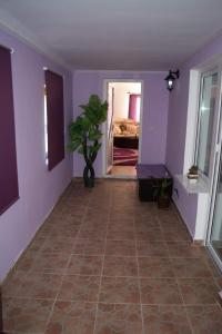 um corredor vazio com paredes roxas e um vaso de plantas em Casa Ana em Biertan