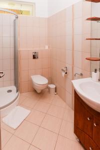 y baño con aseo, lavabo y ducha. en Althaus Vendégház, en Németkér