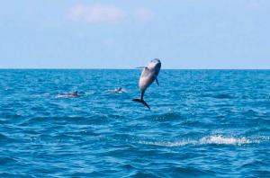 Природа в окрестностях курортного отеля