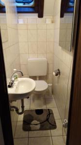 a bathroom with a toilet and a sink at Waldeck in Frankenau