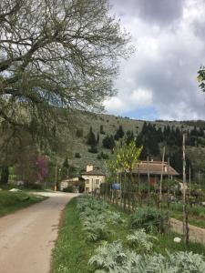 a dirt road leading to a house with a hill at La Fonte in Sala Consilina