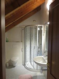 ein Bad mit einem Waschbecken, einem WC und einer Dusche in der Unterkunft La Palma in Domodossola