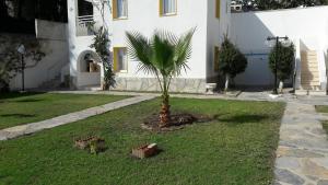 A garden outside Paradise Apart Hotel