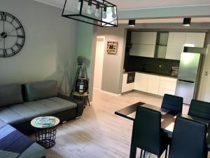 Televízia a/alebo spoločenská miestnosť v ubytovaní Apartament SONIA