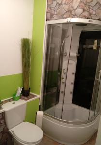a bathroom with a toilet and a shower with green walls at Santos in Kappel-Grafenhausen