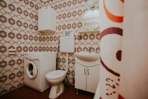 a small bathroom with a toilet and a sink at Apartments Doulos in Splitska +22 photos