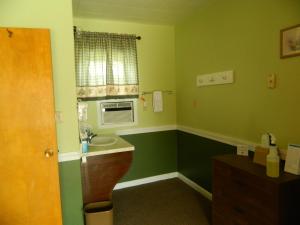 baño con paredes verdes, lavabo y ventana en Country Motor Inn, en Livingston