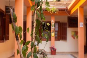 Fotografie z fotogalerie ubytování Refron du Mar Pousada Paraty v destinaci Paraty