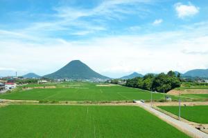 a field of green grass with a mountain in the background at Guesthouse MI CASA SU CASA in Zentsuji