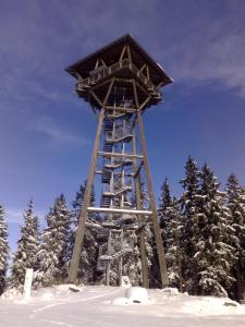 Hochschwarzwald-Hof v zimě