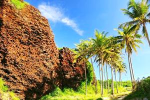 a group of palm trees next to a rock wall at Khách sạn QUỲNH ANH in Ly Son