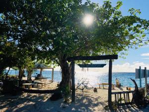 Un albero su una spiaggia con il sole che splende su di essa di Noovilu Suites Maldives a Mahibadhoo
