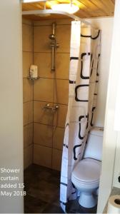 a bathroom with a shower with a toilet in it at Smidstrupvej 3 - The Lodge in Gadbjerg