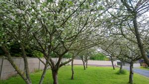サン・ジェルマン・シュル・エにあるGite Le Patelotの公園内白花の木々
