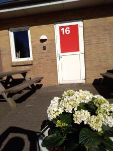 un vase de fleurs blanches devant une porte dans l'établissement Motel Lyren, à Padborg