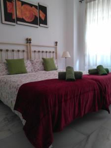 Un dormitorio con una cama grande con una manta roja. en D&Heart and Soul of Granada, en Granada