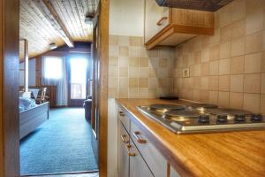 a kitchen with a stove and a counter top at Haus Elli in Nova Ponente