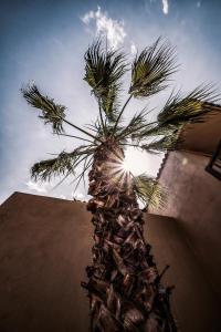 Fotografie z fotogalerie ubytování Doryssa Boutique Hotel v destinaci Pythagorion