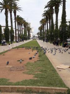 Gallery image of Siwar in Rabat