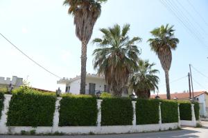 a fence with palm trees in front of a house at Patras White Castle in Patra