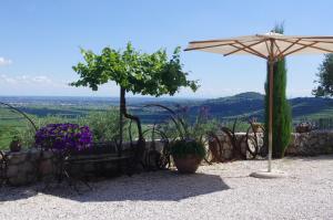 Loodusmaastik of the country house lähedal