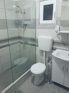 
a white toilet sitting in a bathroom next to a shower at House Dado in Jezerce
