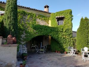 an ivy covered house with chairs and tables at Hotel La Posada de Lalola in Buera +52 photos