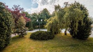 Zahrada ubytování Gasthaus Zur Fähre