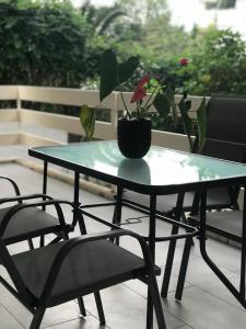 a table and a chair with a potted plant on it at Bright and Peaceful Apartment near Varkiza beach in Varkiza