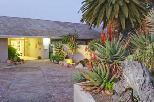 a house with a bunch of plants in front of it at Aloe Manor in Oudtshoorn