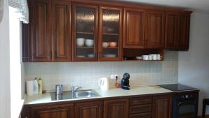 Kuchyň nebo kuchyňský kout v ubytování Apartmány Nová Pec