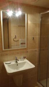 Koupelna v ubytování Apartmány Nová Pec