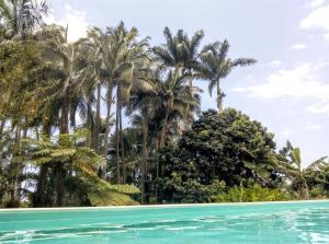 Kolam renang di atau di dekat Poivre et Citronnelle