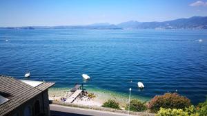 una gran masa de agua con aves blancas en la costa en Residenza Bellavista Eremitaggio en Torri del Benaco