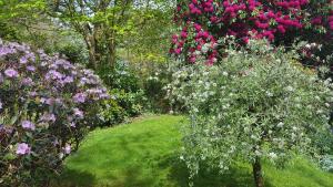 um jardim com flores rosas e roxas e relva em Cruachan House em New Galloway