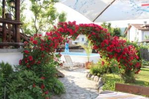 une arche avec des fleurs rouges dans un jardin dans l'établissement Старата Тонина къща, à Dobrinichte
