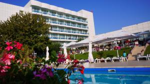 Bazén v ubytování Hotel Afrodita nebo v jeho okolí