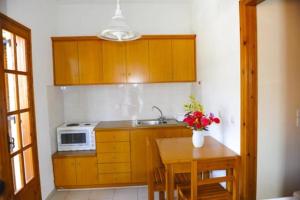 een keuken met een wastafel en een magnetron bij Irene Apartments in Acharavi
