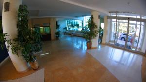 Vstupní hala nebo recepce v ubytování Hotel Afrodita