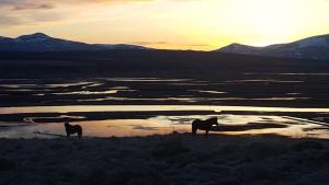 Příroda nedaleko farmy + 8 fotografií