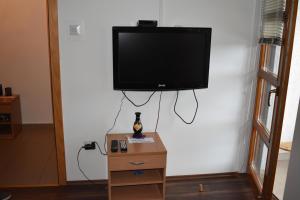 TV a/nebo společenská místnost v ubytování Vila Edu