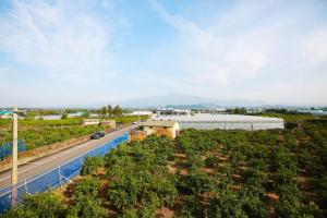 an overhead view of a road and a field of plants at Seong Ge Dol Pension in Seogwipo