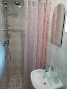 a bathroom with a sink and a shower at Chalúpka u Babičky in Ždiar