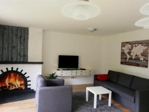 a living room with a couch and a fireplace at Schwarzwaldhaus Markus in Freudenstadt
