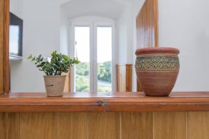 zwei Vasen auf einem Holztisch in der Unterkunft Studio Apartman Vedran in Labin